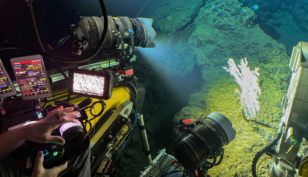 Dalam keterangan tertulisnya pada Senin 26 Januari 2025, Direktur Pengelolaan Armada Kapal Riset BRIN, Nugroho Dwi Hananto, mengungkap misi diakhiri dengan kapal berlabuh di Pelabuhan Bitung pada 24 Januari lalu. Tampak dalam foto yang diambil pada 9 Januari 2026 menunjukkan terumbu karang di kedalaman 900 meter yang sedang difilmkan oleh kapal selam OceanX di lepas pantai Pulau Sulawesi, Indonesia. (Sara HUSSEIN/AFP)