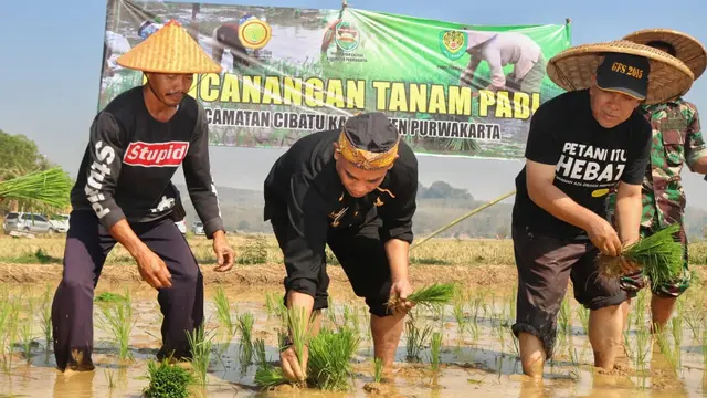 Dukung Program Jokowi, Pemkab Purwakarta Siapkan Langkah Penyelamatan Lahan Pertanian