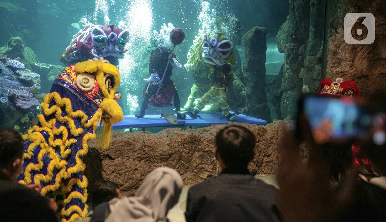 Pengunjung menyaksikan atraksi barongsai dan liong di akuarium SeaWorld Ancol, Jakarta, Senin (24/1/2022). Atraksi barongsai dan liong tersebut digelar dalam rangka memeriahkan perayaan tahun baru Imlek 2573. (Liputan6.com/Faizal Fanani)