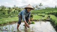 Hari Tani Nasional (Hari Agraria): Potret Petani & Tantangan Pertanian Indonesia