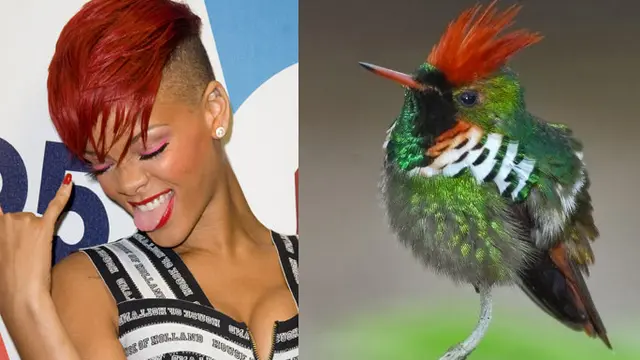 Benarkah 5 Artis Ini Berwajah Mirip Hewan?