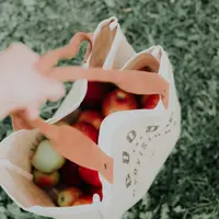 Membawa kantung belanja sendiri saat belanja/unsplash Priscilla