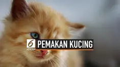 Polsek Kemayoran memburu pria bernama Abah yang diduga menjadi pelaku penganiayaan binatang. Abah diduga memakan kucing hidup-hidup untuk menakut-nakuti pemilik warung yang tidak mau mematikan lampu.