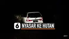 NYASAR KE HUTAN