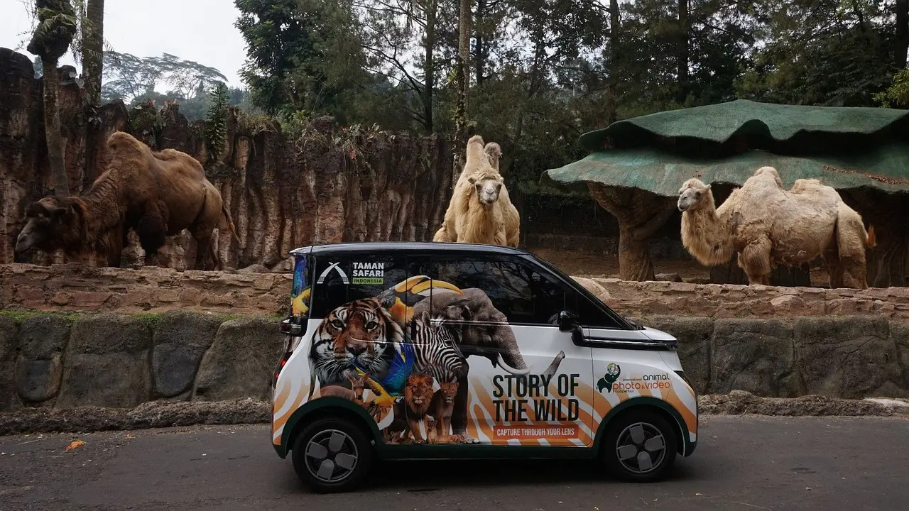 Wuling Air ev