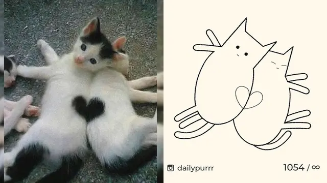 8 Gambar Kucing yang Tak Sesuai Ekspektasi, Ternyata Hasilnya Bikin Salut
