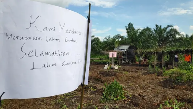 Tulisan sebagai bentuk dukungan masyarakat terhadap moratorium izin baru di lahan gambut.