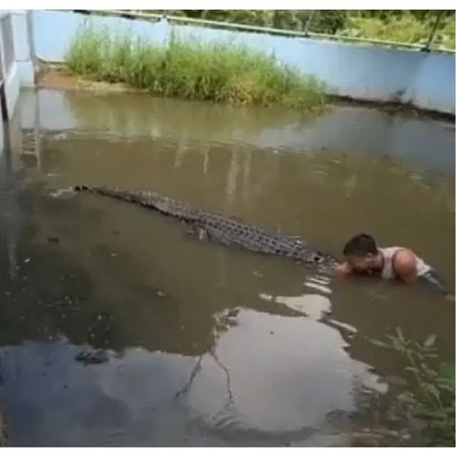 Niat Selfie, Wisatawan Ini Mendadak Diserang Buaya Raksasa yang Dikira Patung