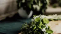 8 Cara Memasak Daun Adas Lezat dan Nikmat, Sayuran Hijau Perangsang Sistem Imun