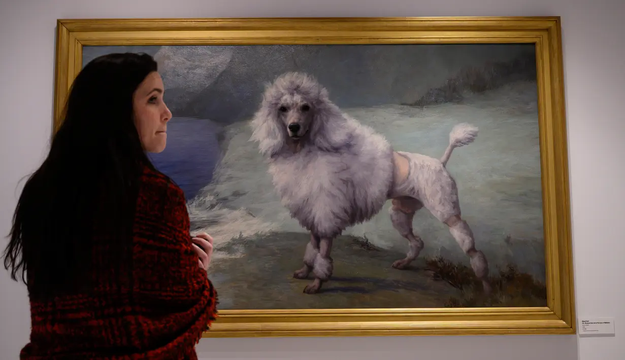 Pekerja melihat lukisan "Pudel" karya Maud Earl di museum anjing "Museum of the Dog" di New York City, 1 Februari 2019. Museum of the Dog dibuka pada 8 Februari 2019 yang berisi berbagai koleksi seni bertema anjing terbesar di dunia. (Johannes EISELE/AFP)