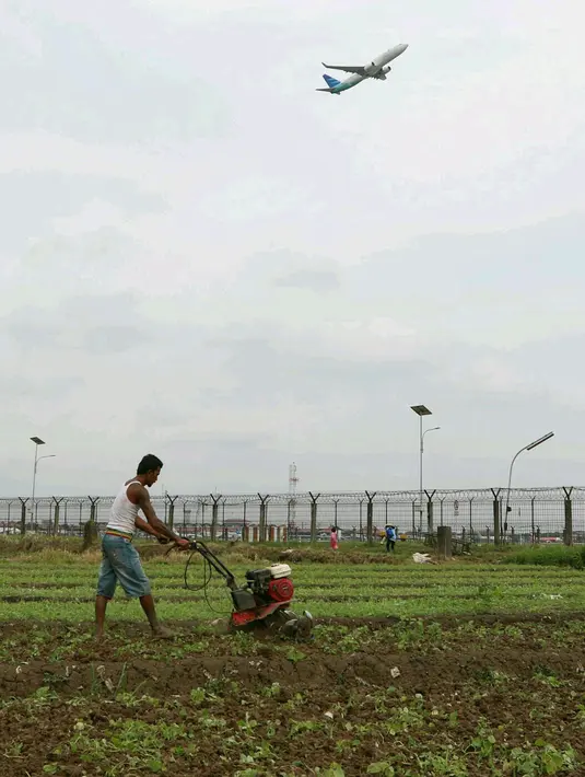Petani menggemburkan lahan garapannya di area belakang Bandara Soekarno-Hatta, Tangerang, Jumat (6/1). Hasil tani tersebut oleh warga dijual di sejumlah pasar di Tangerang. (Liputan6.com/Angga Yuniar)