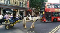Kuda Merajuk Macetkan Sebuah Kota di Inggris (Quicker)