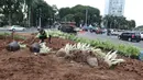 Petugas Dinas Kehutanan DKI menanami tanaman hias di sekitar instalasi batu gabion yang kembali dipasang di kawasan Bundaran HI, Jakarta, Sabtu (4/1/2020). Instalasi gabion di lokasi tersebut sempat dibongkar untuk dijadikan panggung saat perayaan malam tahun baru. (Liputan6.com/Herman Zakharia)