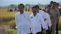Presiden Jokowi meninjau panen raya padi di Kelurahan Baji Pamai, Kecamatan Maros Kota, Kabupaten Maros, Sulawesi Selatan. (Foto: Istimewa)