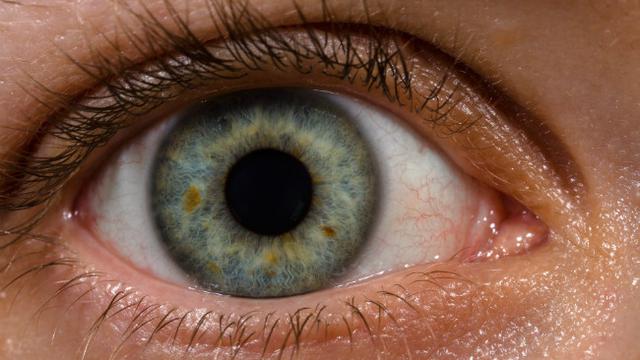 Bagian mata yang mengatur jumlah cahaya yang masuk kedalam mata adalah