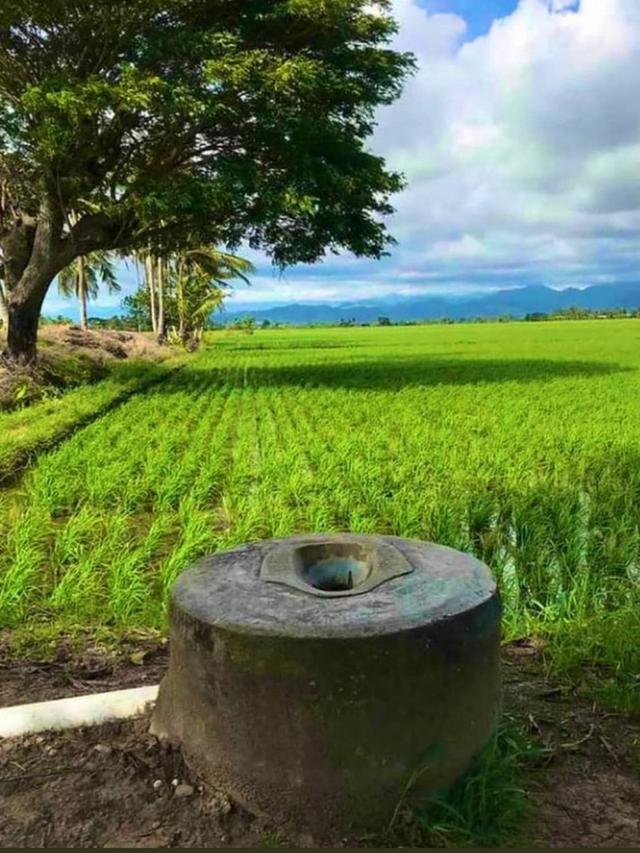 6 Potret Toilet Terletak di Lokasi Tak Biasa, Bikin Mikir Dua Kali