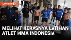 Kerasnya Latihan MMA Fight Academy yang Diikuti Sembilan Petarung Indonesia