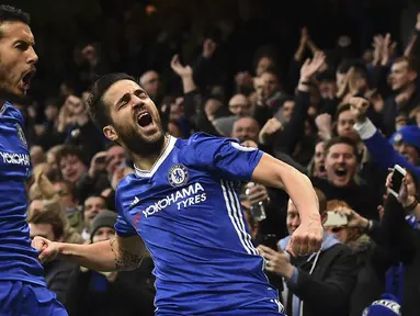 Gelandang Chelsea, Cesc Fabregas, merayakan gol yang dicetaknya ke gawang Swansea pada laga Liga Inggris di Stadion Stamford Bridge, Inggris, Sabtu (25/2/2017). Chelsea menang 3-1 atas Swansea. (AFP/Glyn Kirk)