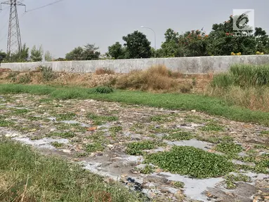 Kondisi Kali Pisang Batu yang dipenuhi sampah dan busa di Desa Setia Asih, Tarumajaya, Kabupaten Bekasi, Jawa Barat, Senin (29/7/2019). Kali Pisang Batu kembali dipenuhi limbah pabrik dan sampah rumah tangga setelah sempat dikeruk pada Januari lalu. (merdeka.com/Iqbal Nugroho)