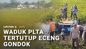 Waduk PLTA Tertutup Eceng Gondok