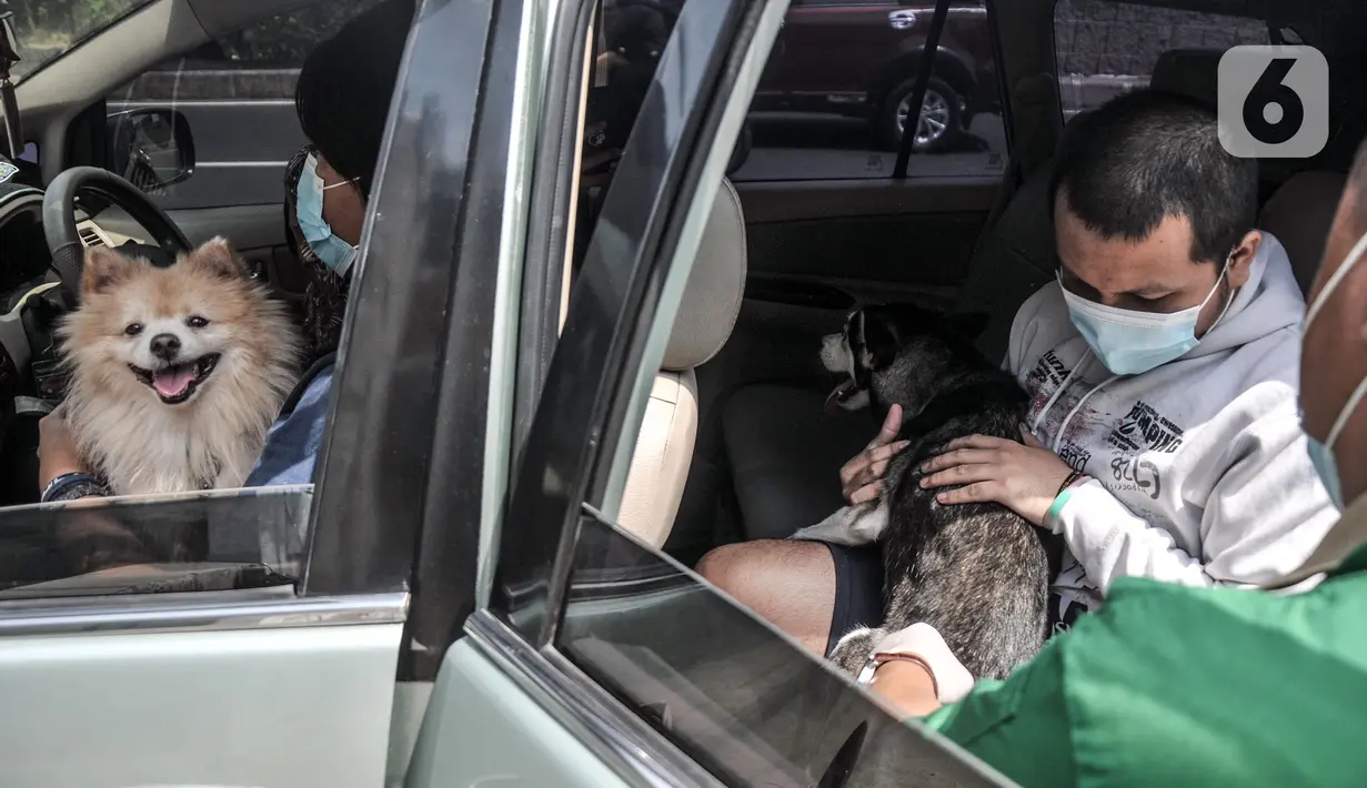 Tim paramedis Suku Dinas Ketahanan Pangan, Kelautan, dan Pertanian Jakarta Timur menyuntikkan vaksin rabies kepada anjing di Kantor RW 07 Cipinang Muara, Jatinegara, Jakarta, Senin (6/9/2021). Vaksinasi ini dilakukan kepada hewan peliharaan seperti anjing dan kucing. (merdeka.com/Iqbal S.Nugroho)