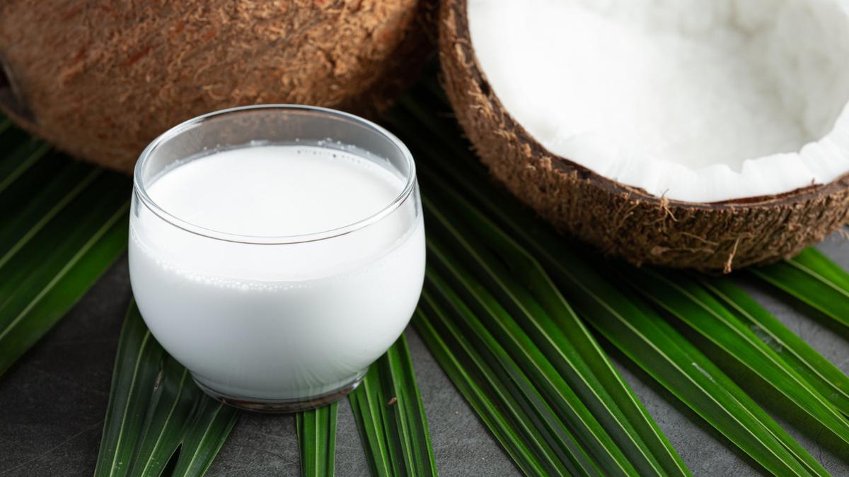 6 Tips Memilih Kelapa Tua yang Banyak Santannya, Anti Salah Pilih di Pasar