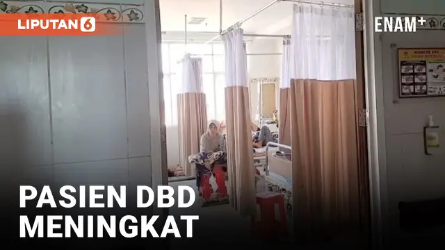 Pasien DBD di Brebes Meningkat, Dilaporkan 4 Orang Meninggal Dunia