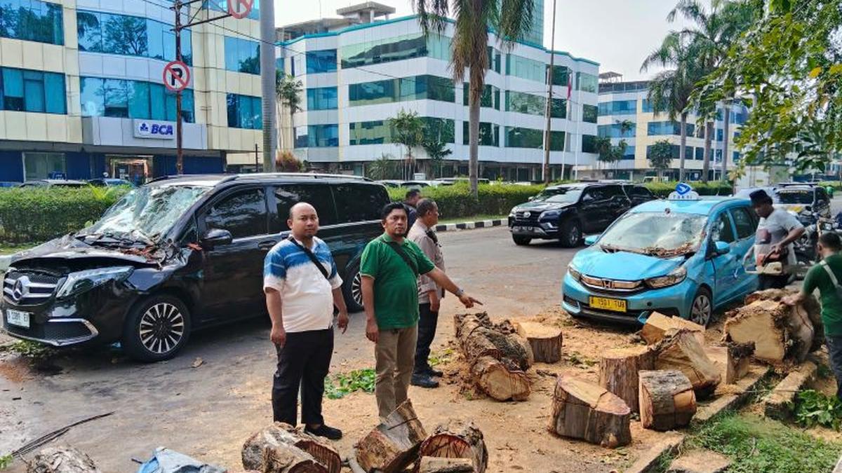 Detik-detik Pohon Tumbang Timpa Mobil di Kelapa Gading