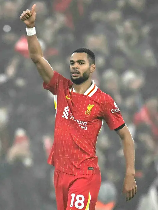 Jelang jeda pertandingan, Liverpool berhasil menyamakan kedudukan lewat aksi Cody Gakpo pada menit ke-45+1. (Paul ELLIS/AFP)