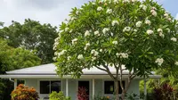 9 Model Rumah Sederhana Pagar Estetik yang Menawan dan Fungsional