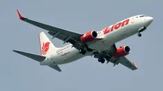 Langkah Lion Air Parkir Dana di Stablecoin Demi Efisiensi