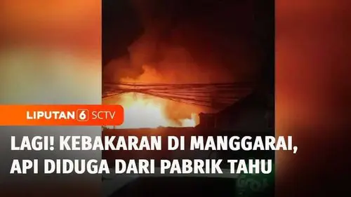 VIDEO: Kebakaran Permukiman Padat di Manggarai, 31 Unit Damkar Dikerahkan