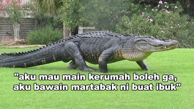 6 Meme Modus Buaya Darat Ala Netizen Ini Sukses Bikin Geregetan Hot