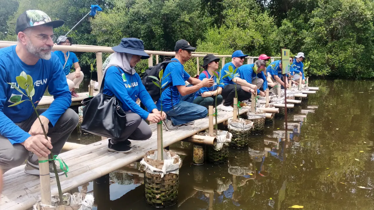 Kegiatan menanam bibit Mangrove oleh EU Green Diplomacy Weeks (dok. Liputan6.com/faqih nuriman)