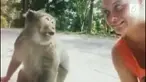 Kejadian tidak menyenangkan dialami seorang gadis. Ingin sok akrab dengan monyet malah dianiaya.