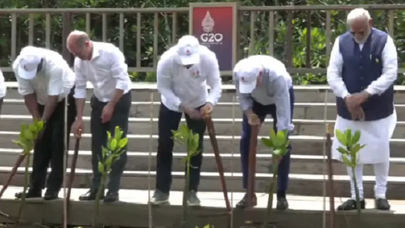 Pada kunjungan pemimpin G20 ke Taman Hutan Raya, Bali para kepala negara diberi kesempatan untuk menanam mangrove (Sekretariat Presiden)