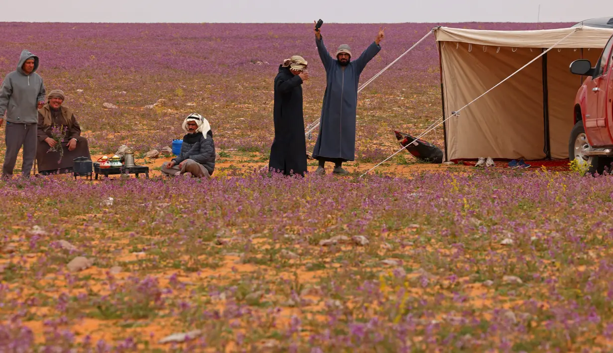 Orang-orang berkumpul di gurun pasir yang dipenuhi bunga lavender di kota Rafha, dekat perbatasan dengan Irak, pada 13 Februari 2023. Di seberang padang pasir, para pengunjung mendirikan tenda dan memasak makanan di atas api terbuka. (Fayez Nureldine / AFP)