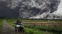 Warga yang berada dalam radius bahaya, termasuk di Desa Supiturang, segera dievakuasi. Tampak dalam foto, seorang pria memandang aliran piroklastik selama letusan Gunung Semeru di Lumajang, Jawa Timur, pada 19 November 2025. (Agus Harianto/AFP)