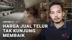 Tak kunjung naik, rendahnya harga jual telur masih dikeluhkan peternak. Mereka terancam gulung tikar lantaran merugi menutupi ongkos operasional yang tinggi.