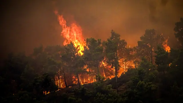 Penduduk Setempat dan Turis Melarikan Diri dari Kebakaran Hutan di Pulau Rhodes Yunani
