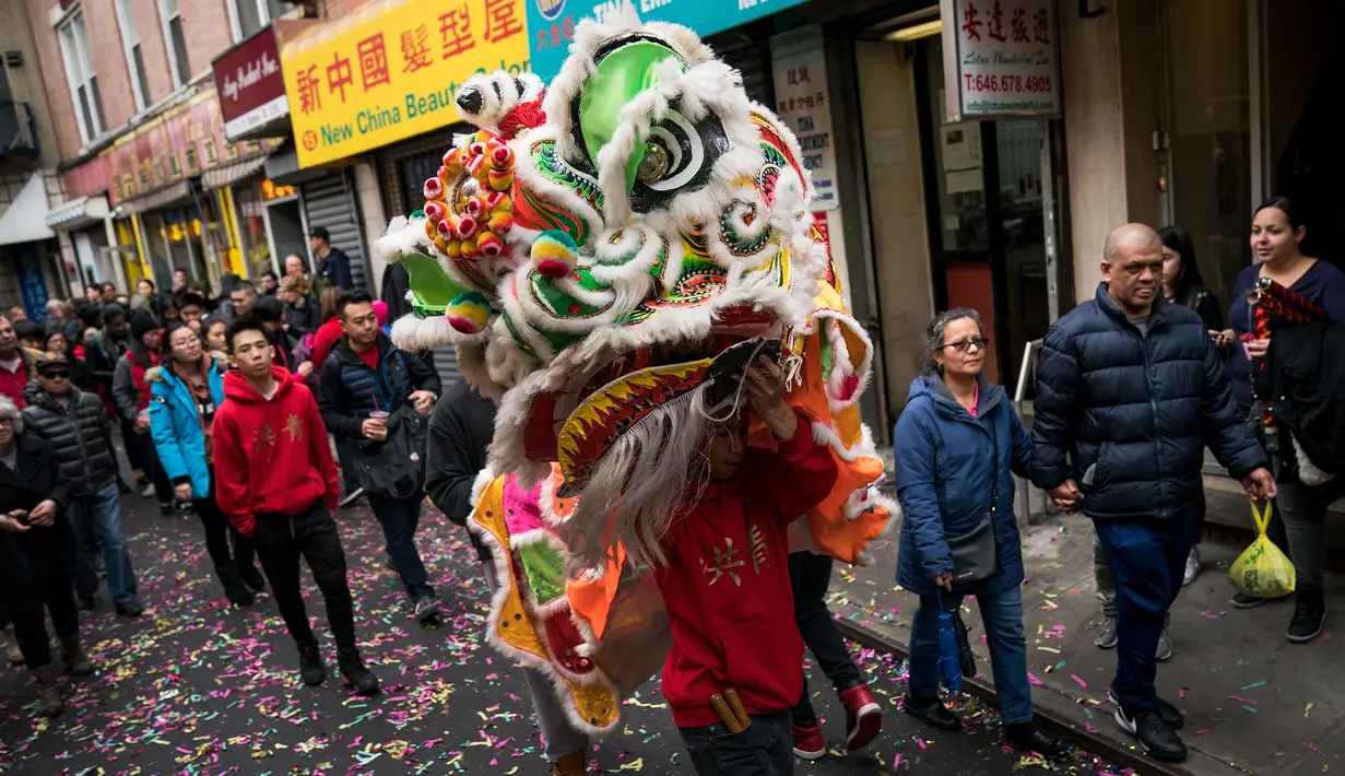 Seorang peserta memainkan Barongsai saat menyusuri Chinatown selama festival budaya perayaan Imlek di New York City (16/2). Warga Tionghoa bersama berbaur dengan masyarakat sekitar turun ke jalan memadati kawasan Chinatown. (Drew Angerer/Getty Images/AFP)