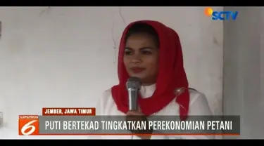 Silaturahmi ke para petani pisang di Jember, Jawa Timur, Cawagub Jawa Timur, Puti Guntur Soekarno berjanji akan meningkatkan perekonomian para petani tersebut.