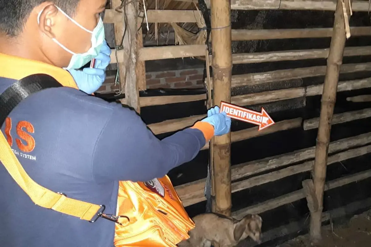 Kandang kambing, lokasi seorang pemuda di Aceh diduga bakar diri (Ist)