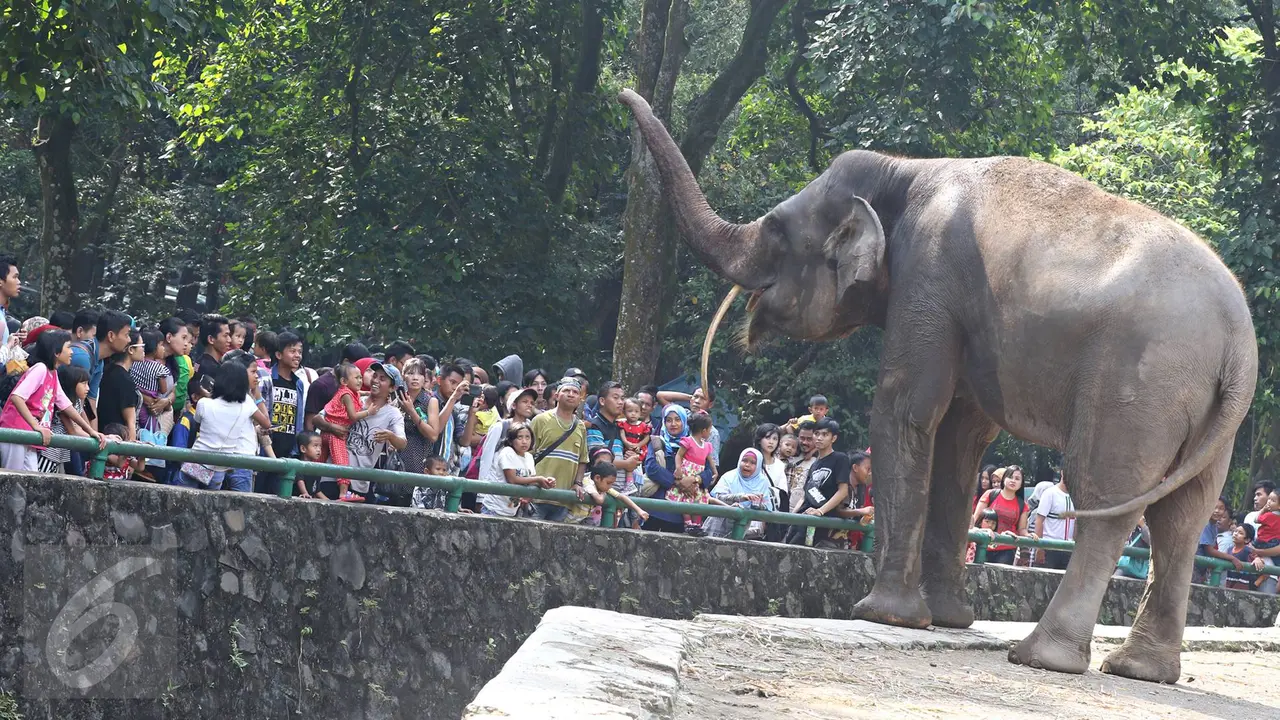 20160707-Libur Lebaran, Ragunan Diserbu Puluhan Ribu Pengunjung-Jakarta