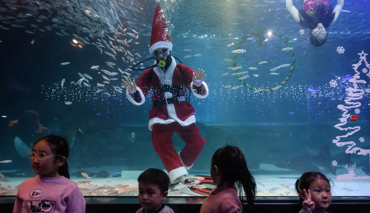 Penyelam berpakaian Sinterklas menyapa anak-anak saat tampil dalam pertunjukan bawah laut bertema Natal di Akuarium COEX, Seoul, Korea Selatan, Jumat (7/12). (Ed JONES/AFP)