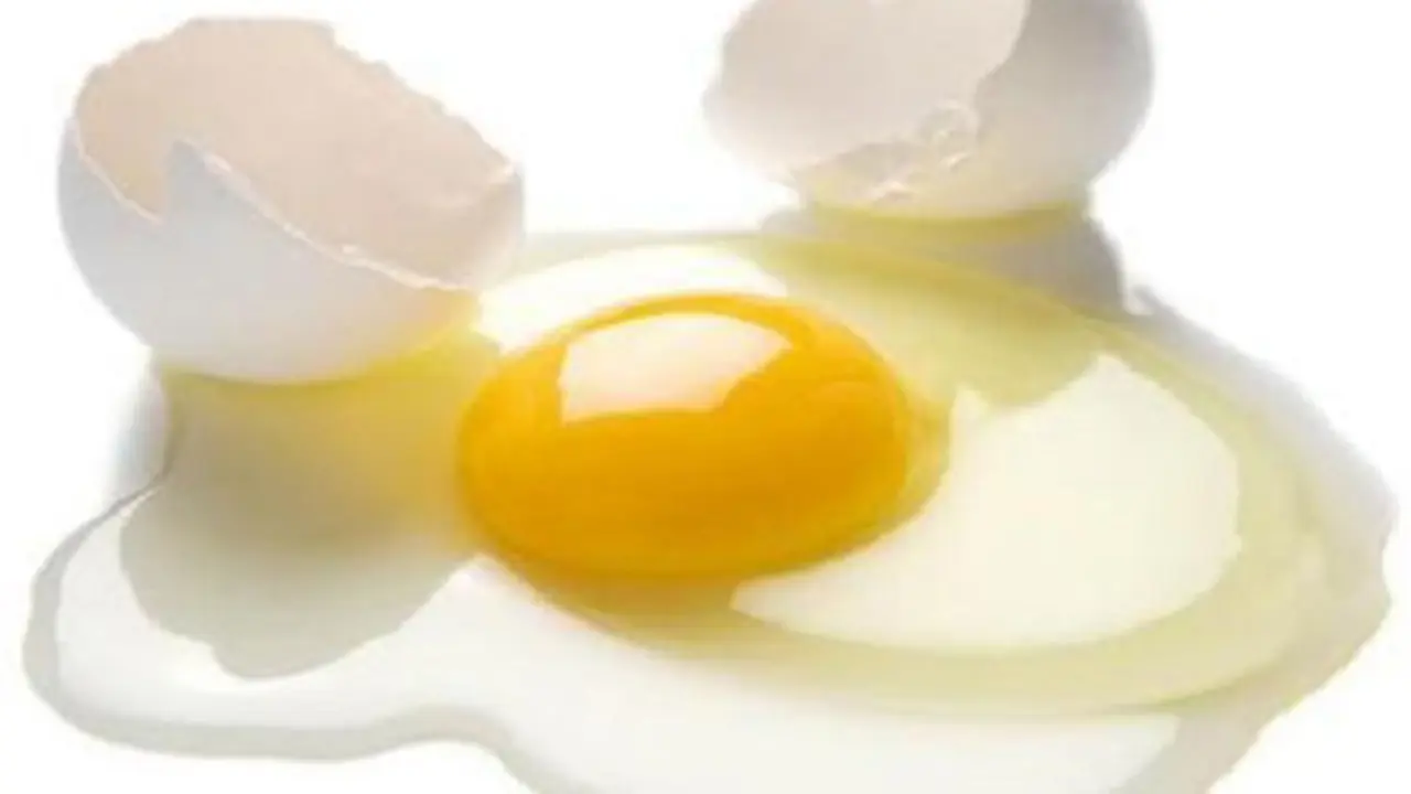 telur