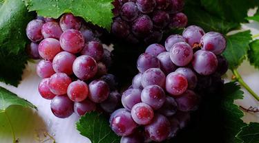 Cara Menyimpan Buah Anggur Dalam Waktu Lama Agar Awet Segar