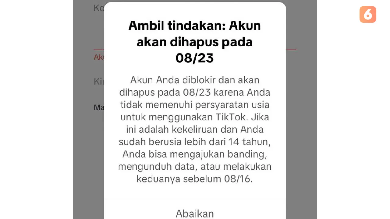 Akun TikTok Diblokir