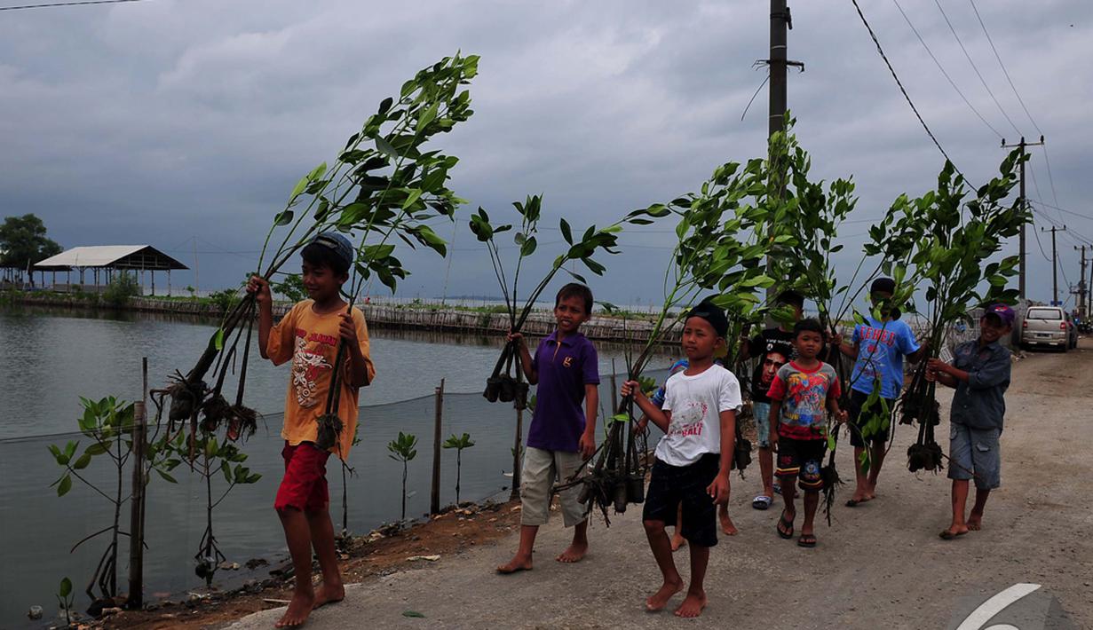 Sejumlah bocah membawa tanaman mangrove untuk ditanam di Desa Muara Ujung, Tangerang, Banten, Minggu (7/12/2014). (Liputan6.com/Johan Tallo) 