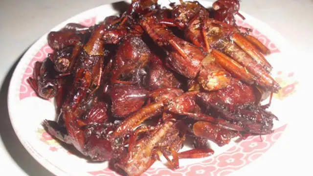 Menikmati Renyahnya Belalang Goreng di Nganjuk
